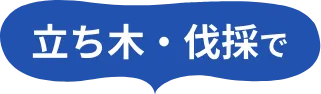 立ち木・伐採で